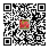 mmqrcode1551663450731.png