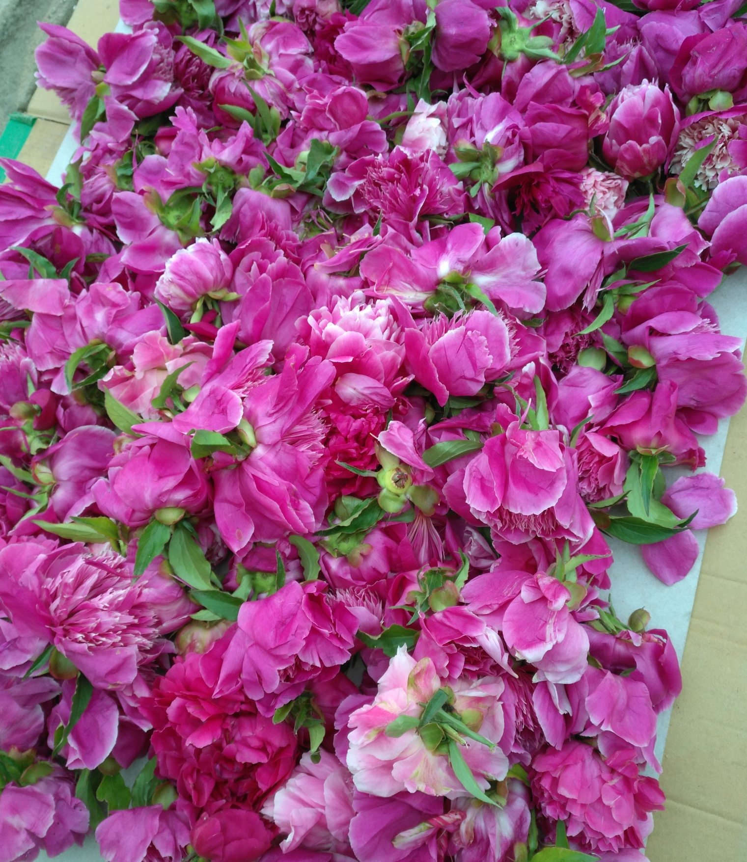 IMG_20190506_090808_看图王.jpg